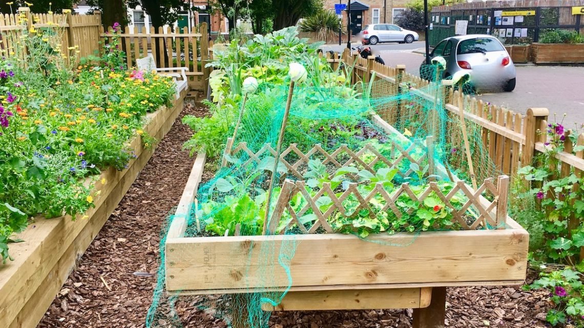 Help the Community Kitchen Garden Project