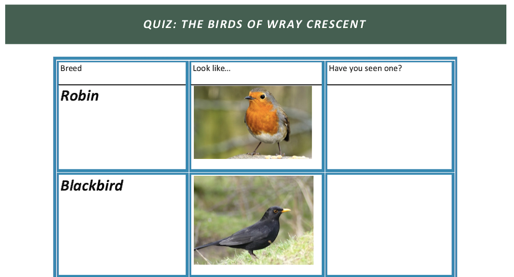 Quiz: Help us spot all 17(+) bird species in Wray Crescent