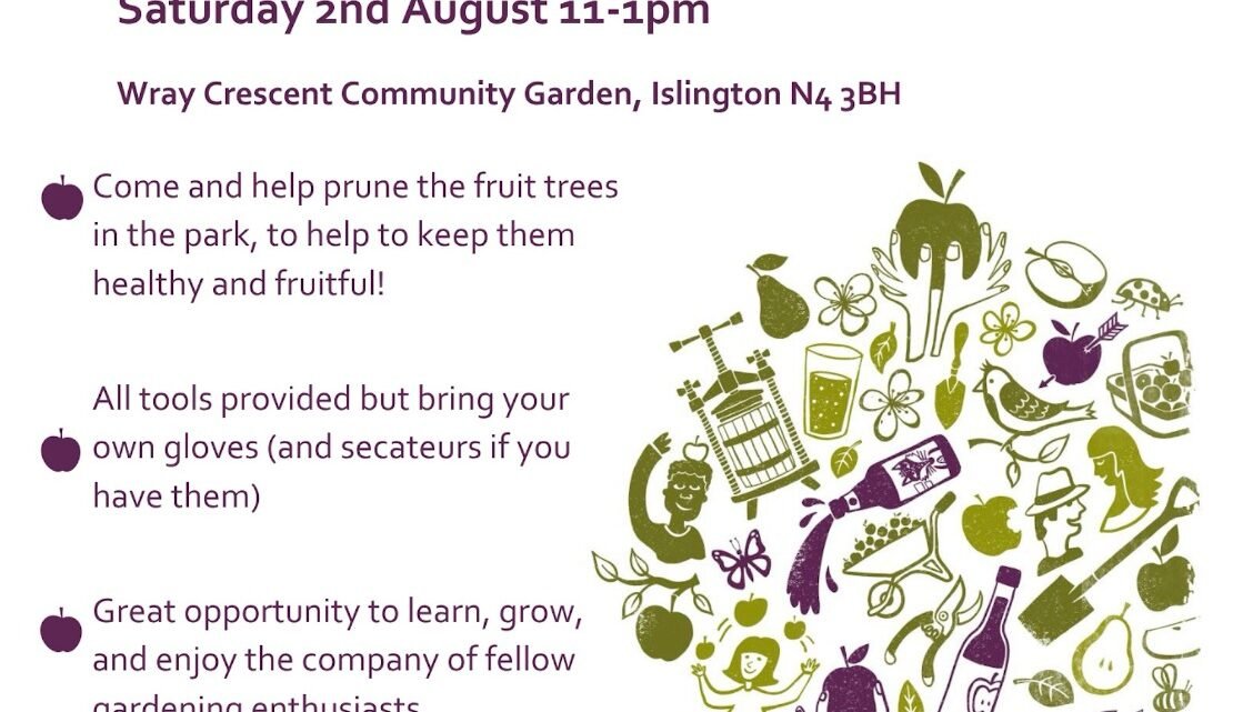 Orchard Project – August 2, 11am
