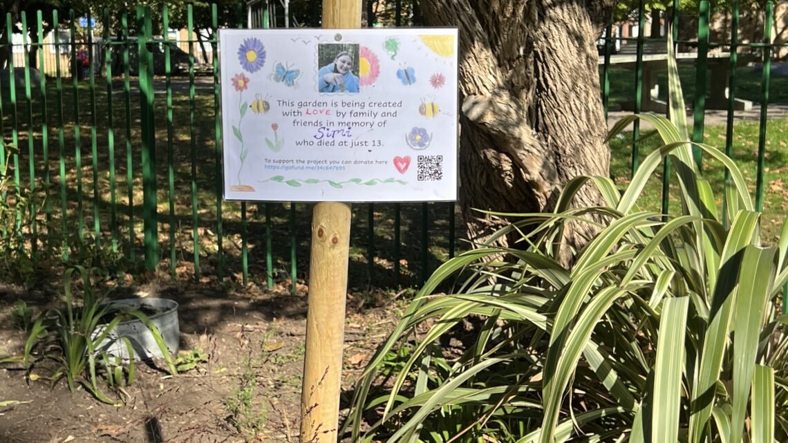 Creating a Bee-Friendly Space in Wray Crescent