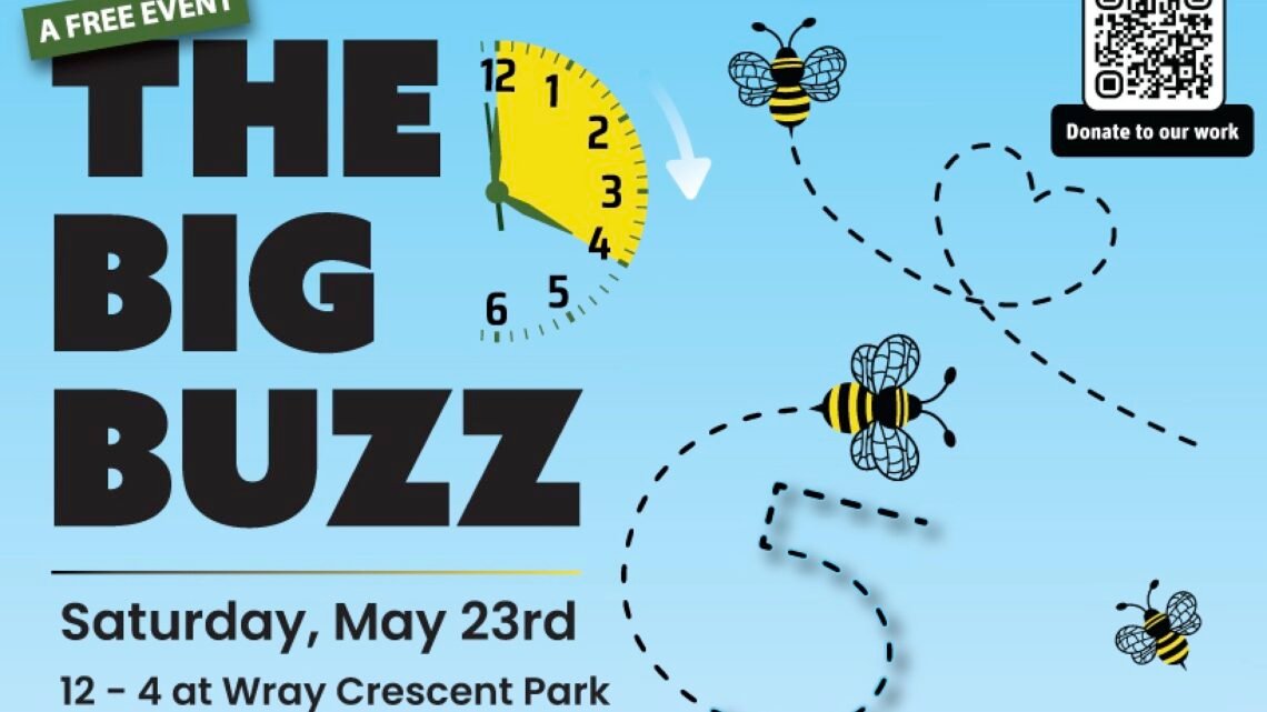 What’s On at Big Buzz V, May 23